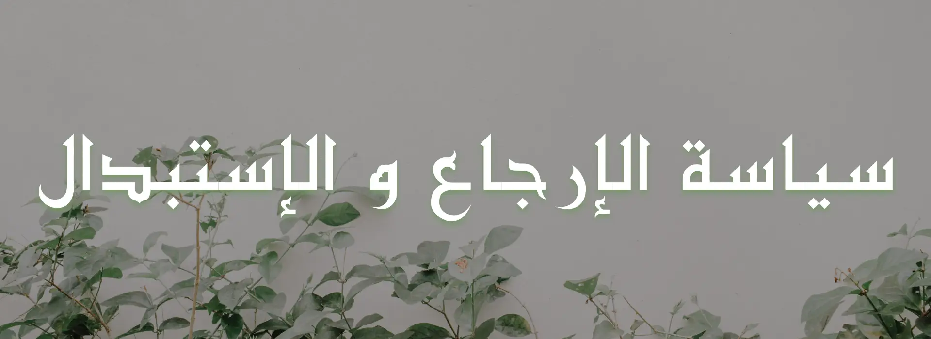 سياسة ابدال