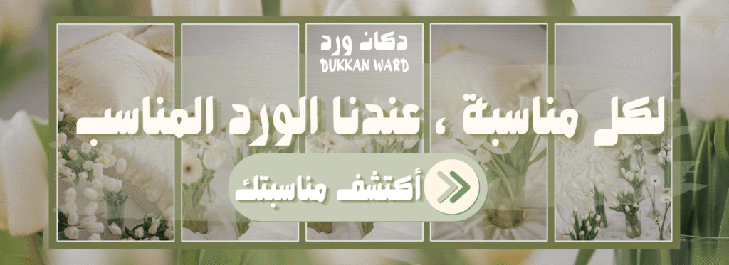 cover 2